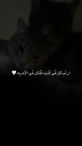 My🦇🎀 #fypageシ #fyb #Islamic #free_plastine🇵🇸🇵🇸🇵🇸 #بدون_موسيقي 