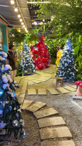 Không gian giáng sinh ấm áp khu vực dưới đất của Quái thiệt là xinh đẹp ❤️ #giangsinh #quaigarden #xuhuong #nuibaden 