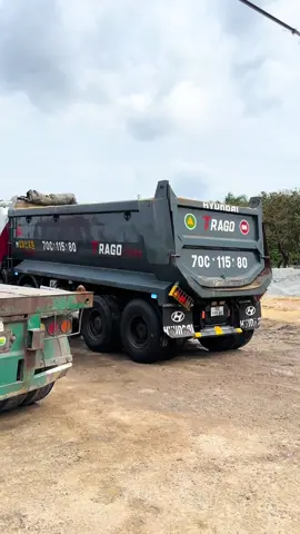 Bửa giờ cày nhiều rồi nay tắm rửa cho em nó xong cày tiếp🥰❤️ @1987 Đã Trở Lại #xuhuong 