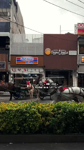Uji coba Pendestrian Malioboro tgl 1-2 Des 2025 🍃🍃🍃  @Plaza Malioboro @Jogja Info @Infojogja.id  #jogja #malioboro #jogjainfo #fyp #jogja24jam 