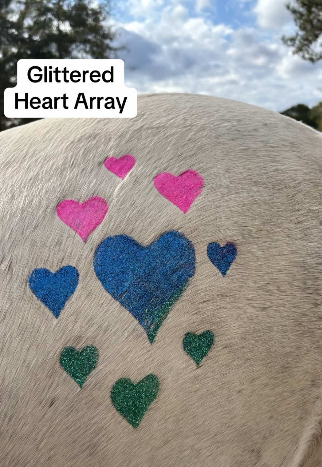 ✨ A sprinkle of shimmer, a swirl of love… our Heart Array Glittermarx is pure enchantment! #horses #mlp #glittermarx #horsegirls #hearts @@Char_eqqqqqqq 