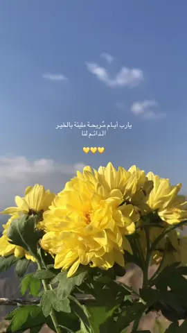 يارب أيـام مُـريحـة مليئة بالخيـر الـدائـم لنا💛💛#خواطر #خواطر_من_القلب #عبارات #كلمات #جبراتت📮 