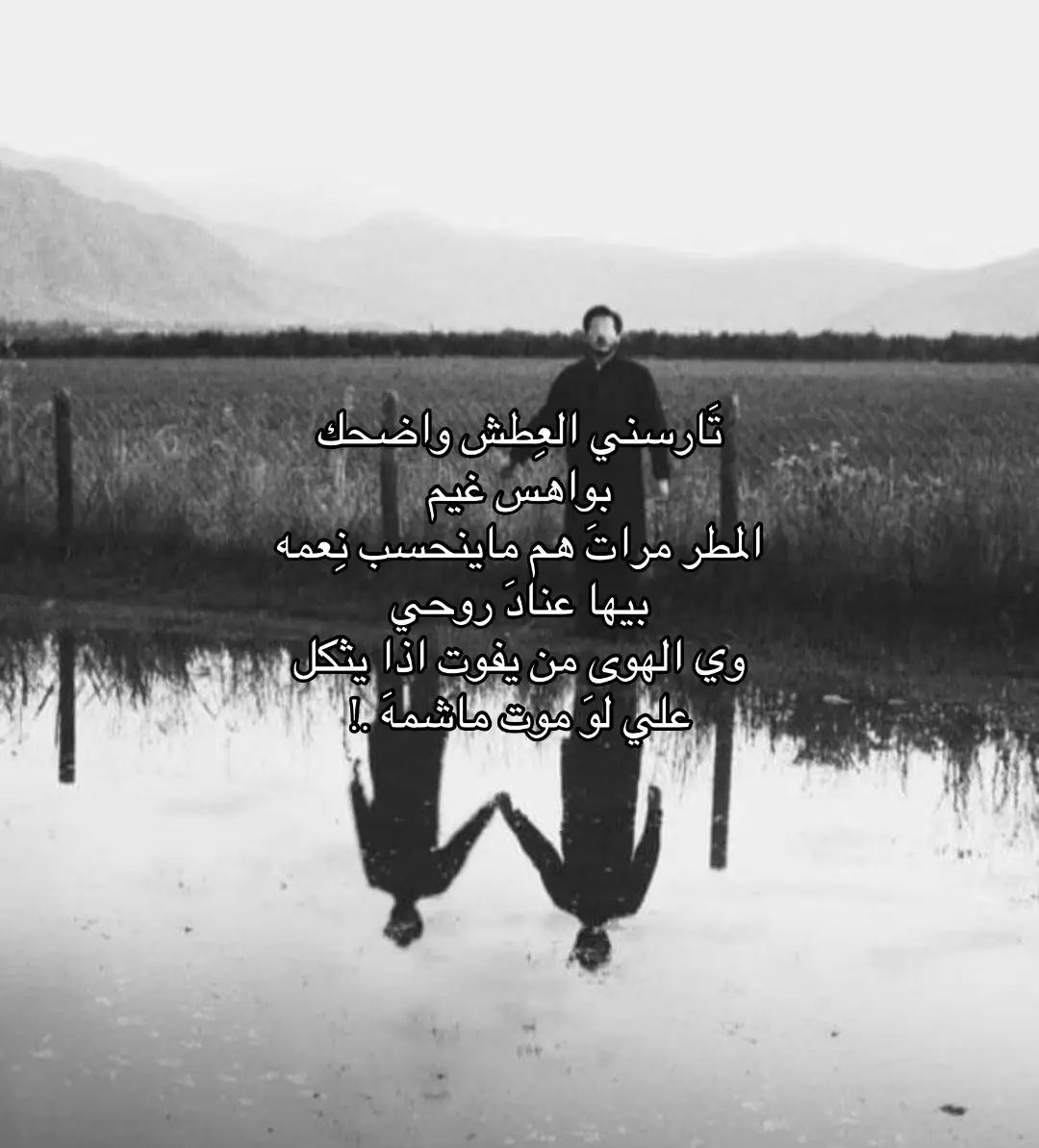 #شعراء_وذواقين_الشعر_الشعبي #موسيقى #شعر #fyp #pppppppppppppppp 