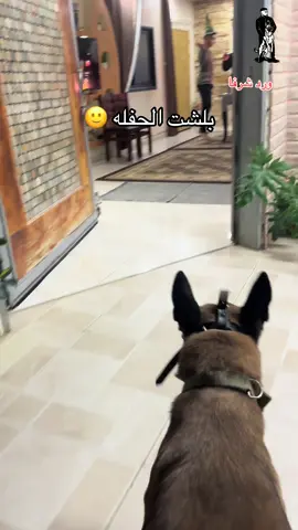 #الشعب_الصيني_ماله_حل😂😂 #تدريب_كلاب_الحراسة #ورد_شرفا #explor @nael khomini @الخميني BLU 