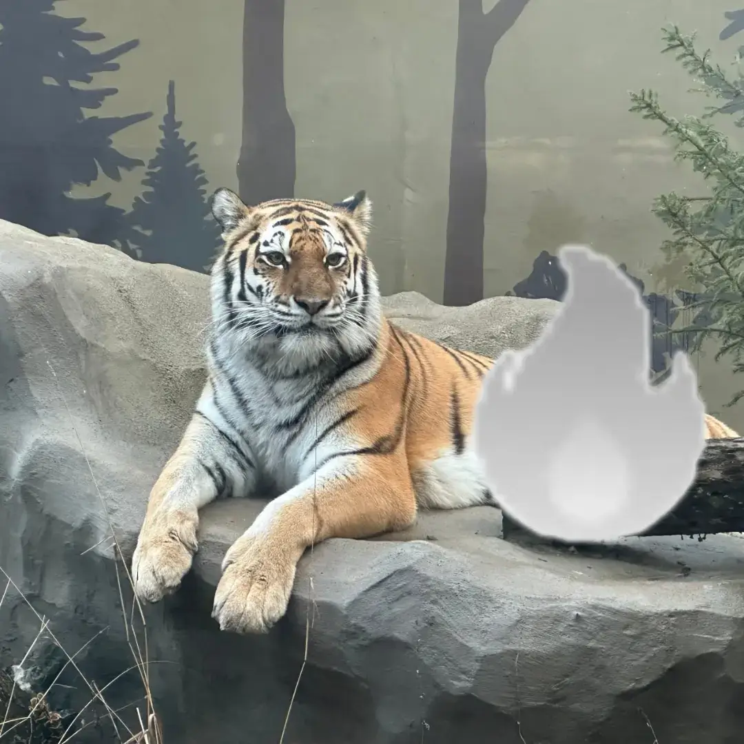 👩‍🦽🚓👩‍🦽👩‍🦽🚓👩‍🦽🚓👩‍🦽🚓👩‍🦽🚓👩‍🦽🚓👩‍🦽🚓👩‍🦽☠️💀🚓💀☠️💀☠️💀☠️💀☠️💀☠️