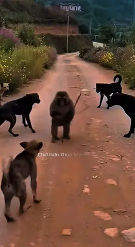 Chớ hơn thua khi cùng sống chung trong một gia đình… #nhachaymoingay #nhactamtrang #sbtentertainment #1992 #CapCut 