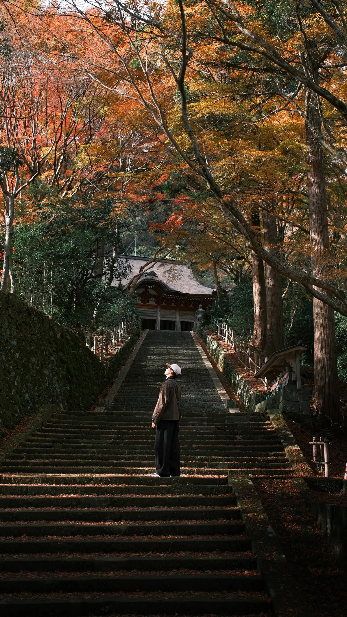 thu đi nhanh quá. Cuối thu☹️🍂🍂#autumn #fujifilm 