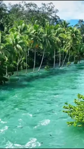 air danau Singkarak hari ini Selasa 2 Desember 2025