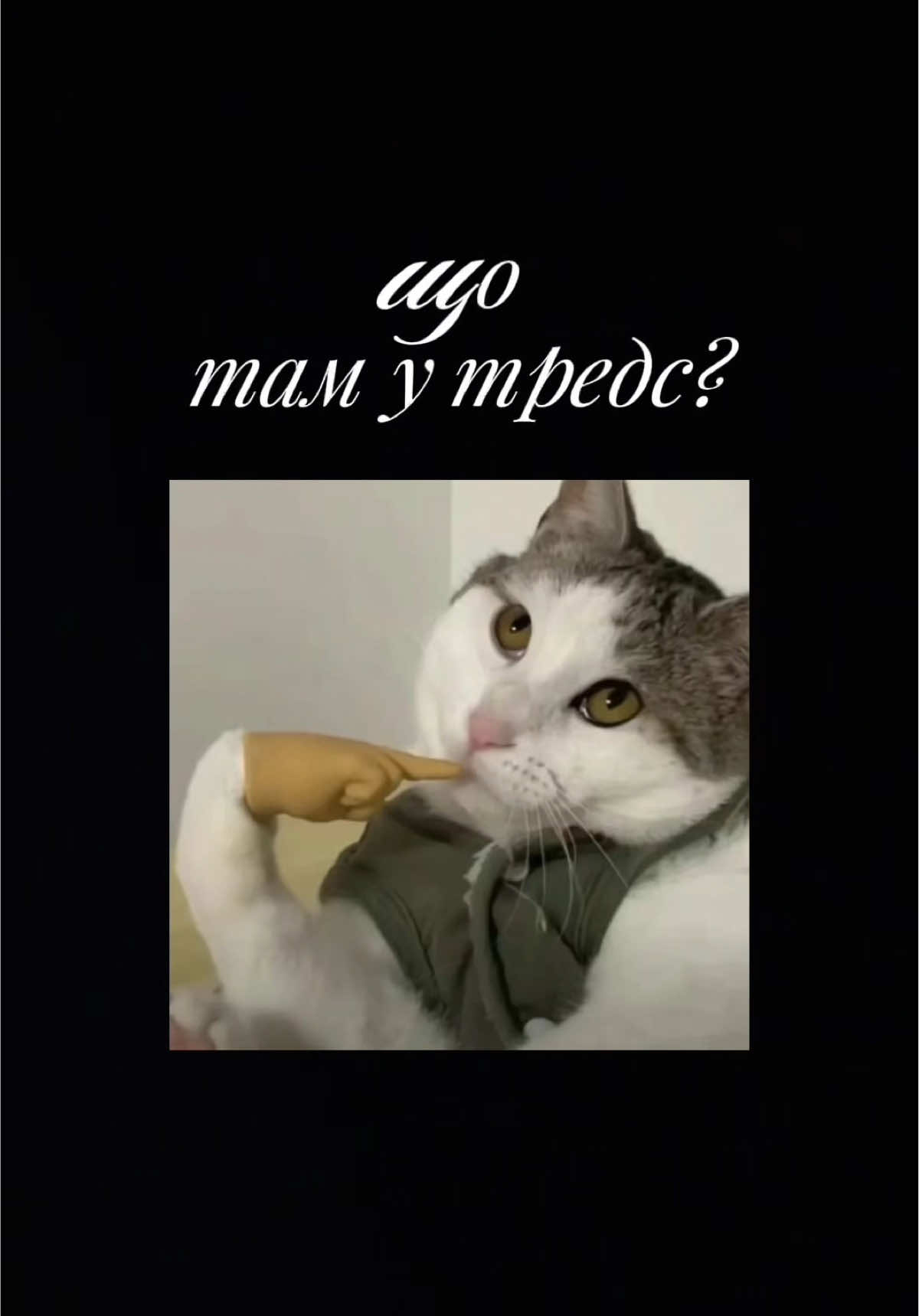 Читаю історії з тредс і коментарі до них 💬