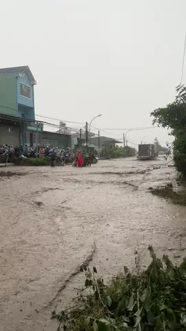 Quá chời mưa luôn rồi 🥺🫨 #lũlụt #sạtlở #đàlạt 