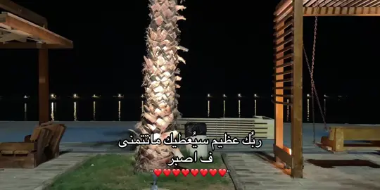 #يارب_فوضت_امري_اليك #يارب_دعوتك_فأستجب_لي_دعائي #الحمدلله_دائماً_وابداً 