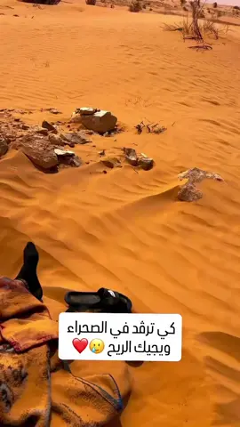 #الولدين_جنة_فوق_الارض #♓️♓️🇲🇦🇲🇦🇩🇿🇩🇿🇹🇷🇹🇳🇩🇿🇫🇷🇫🇷 #♓️♓️♓️♓️♓️♓️♓️♓️💔♓️♓️♓️💔 #2025 #الشعب_الصيني_ماله_حل😂😂 