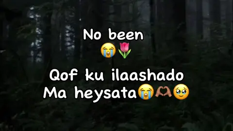 No been😭🌷#jawi_bila🌊❤️🌴#jawiga_jawiyada_eryaday🌴❤️#mohamed💦 