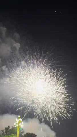 ສະຫລອງວັນຊາດທີ່ 2ທັນວາ#ຄົບຮອບ50ປິ