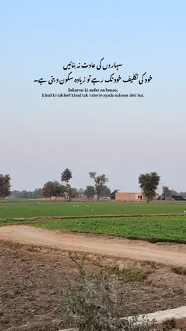 LINES ❤️‍🩹 #fyp #villagevibes #videography #unfrezzmyaccount #growmyaccount 