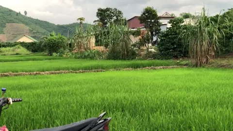 #xhuongtiktok #siriusblack #✅✈️