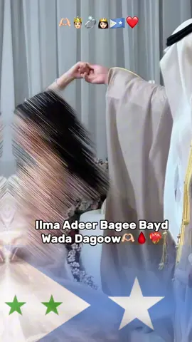 Hestii Sanadka💯 Erayada >@Gorgor Abdi Codka >@Ismail aarka official #Tiktok #Galmudug #Habargidir #Salebaan #faaraxrooble 