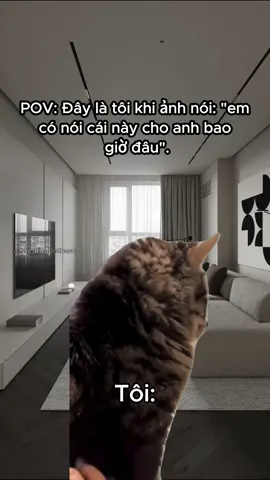 :)) #meme #kozyfashion 