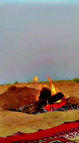 قصايد #شيلات #خواطر #شعر #اكسبلورexplore #فولو 