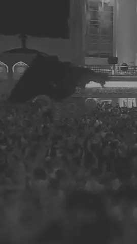 ام صاحب العلم // كرار ابو غنيم  #النجف_الاشرف  #كرار_ابو_غنيم 