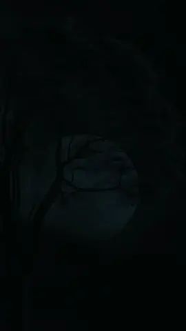 Part90 || Howl yareystoo Manta hilmamey ||  ... #somalilyrics🌺😕💎 #Asmayyy #fyÿyyyyyyyyypシ゚viral🖤tiktok #foryoupage❤️❤️ #viewsproblem💔😔 