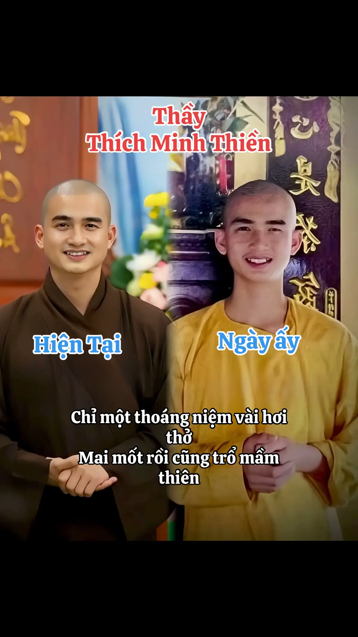 #phatphapnhiemmau #xuhuong 