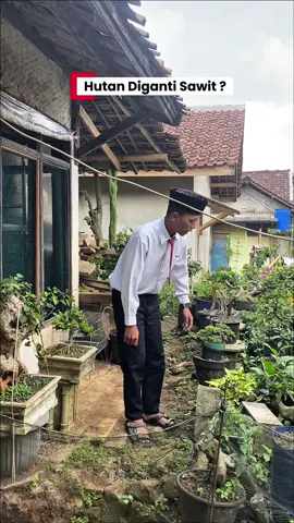 Ada Daun Nya  Pohon Juga  #fyp #ceo #kontenhiburan #fyppppppppppppppppppppppp #trending 