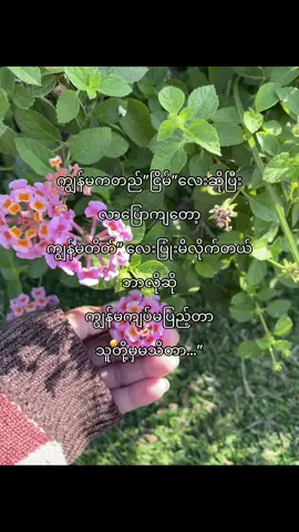 သူတို့မှမသိတာ…😞💕#fyp #crd #foryoupage #viraltiktok #fyppppppppppppppppppppppp #wivesoftiktok 