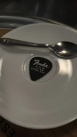 Pick #guitar #electricguitar #musica #foruyou 