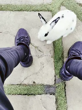 pacal ciapa ini☝🏻 #harriscaine #vtuber 