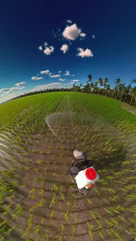 mimin tampil dlu.😁😁 #pesonapetani #pesonabocahkampung #petanipadi #brigadepangan #semprotthailand 