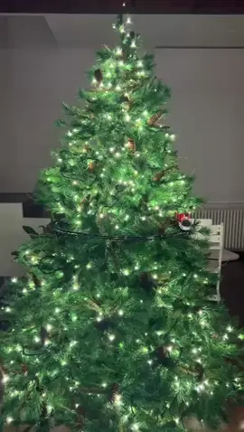 Christmas tiiiiimeeee🚂💯 #christmas #christmas2025🎅🎄🎄 #christmasgiftideas 