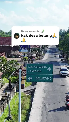 Membalas @￶‍‍‍￶￶￶￶‍‍‍￶￶￶‍‍🦎 Desa BETUNG Kec Semendawai Barat Kabupaten OKU Timur. #tiuhsikam  #botungkumoring  #okutimur  #komering_oku_timur 