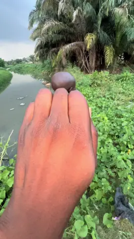 #ahoufe_ #viral #trending #fyp #trend 