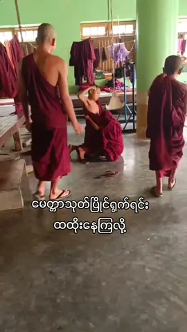 @jay_62703 @kkha6926 #fypシ #views #viral 