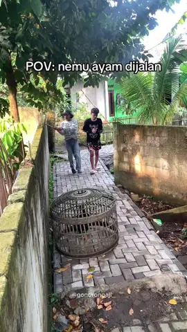 persetan dengan si mandor 🤣  #fypシ゚viral  #fypシ゚  @ajidharma_ 