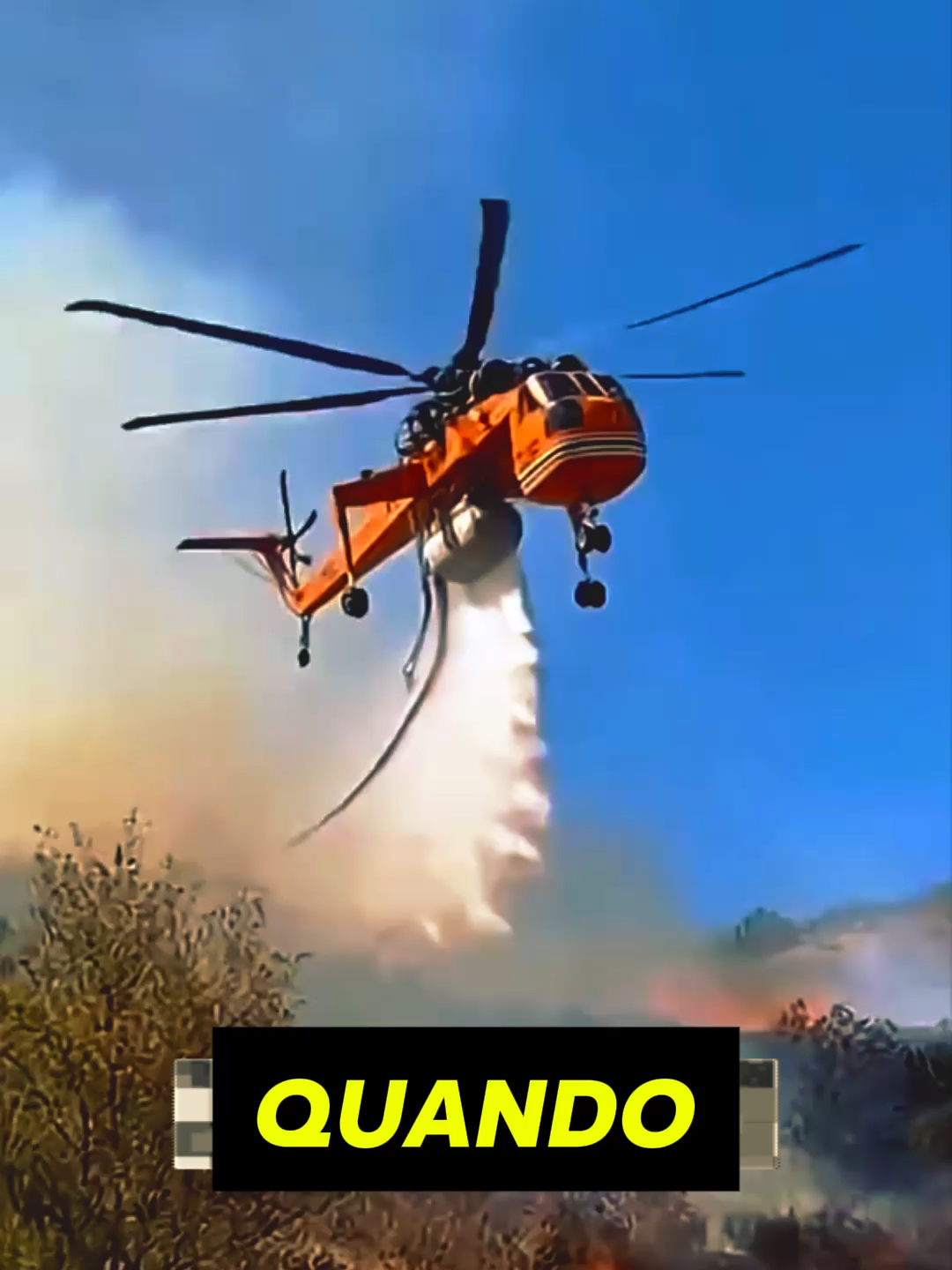 CURIOSIDADE QUE VOCE NAO SABIA  #fatoscuriosos #curiosidades_varias #curiosidades #fatos #fatosreais