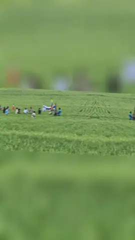 #creatorsearchinsights 