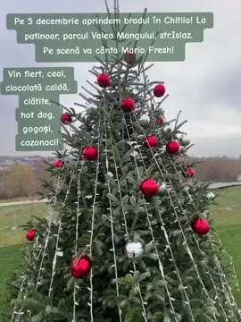 Pe 5 decembrie aprindem bradul în Chitila! La patinoar, parcul Valea Mangului, str.Islaz. Pe scenă va cânta Mario Fresh!  Vin fiert, ceai, ciocolată caldă, clătite, hot dog, gogoși, cozonaci! #fyp #Chitila #Craciun #christmas #targ 
