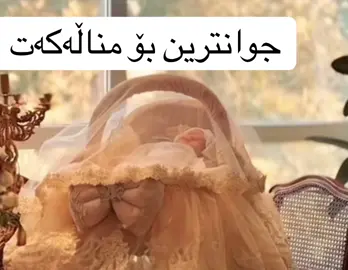 #گەیاندنمان_هەیە_بۆ_هەموو_کوردستان🚕 #ستاند #کاریکۆت #xanman #دهۆک 