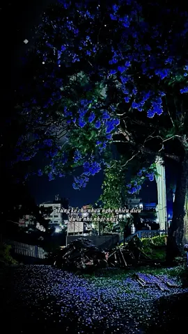 Từng là …#nhachaymoingay #xuhuong2025 #foryou #fyp #nhacbolero16 