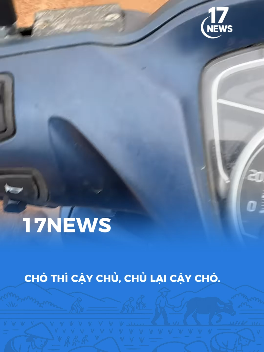 Có vệ sĩ uy tín nhất xóm ! #17network #17news #xh #fyp #fyn