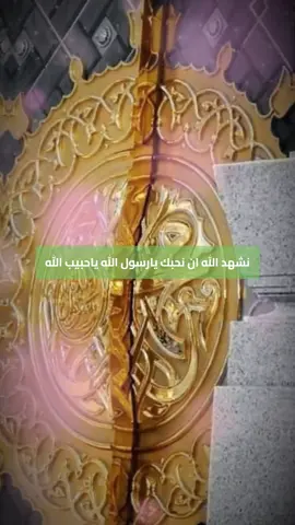 نشهد الله ان نحبك يارسول الله ياحبيب الله #مدح_ف_حب_رسول_الله #حب_النبي #ابن_ادريس #مدح #رسول_الله 