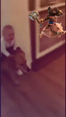 Hog rider ahh moment  #fyp #dog #dogs #funny #clashroyale 