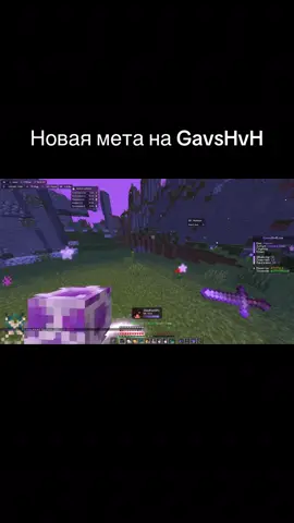 ip: mc.GavsHvH.su #gavshvh 