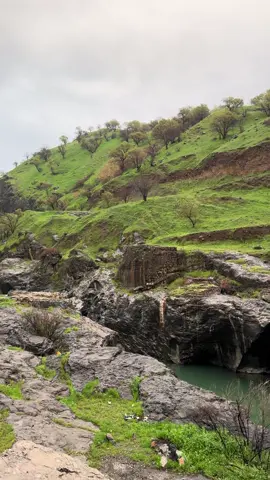 #ئاوەمار #هەڵەبجە #زەردۆی #نەیجەڵە #کوردستان_سلێمانی_کەرکوک_هەولیر 