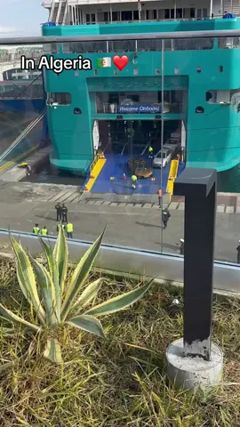 #الشعب_الصيني_ماله_حل😂😂 #mouloudia_virage_sud🇮🇹🙏 #algeria #🇩🇿 #fpy 