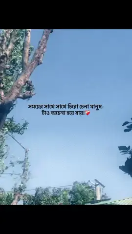 মানুষ পরিবর্তন হয়ে যায়...!!😅❤ #bdtiktokofficial #tiktok #foryou #😅😅😅 