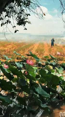 Quê mình đẹp nắng xuống chil chil#dongthap 