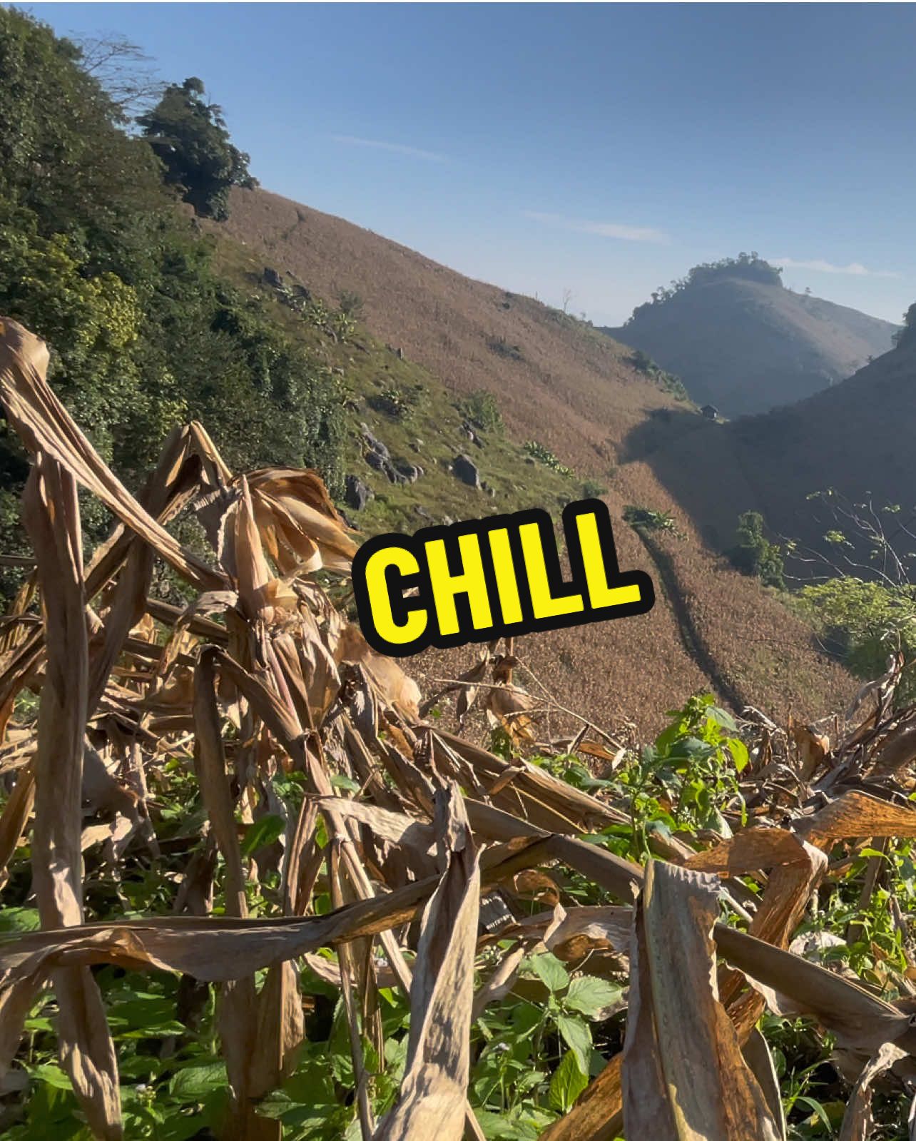 CHƯA GÌ ĐÃ HẾT NĂM RỒI 🌸💕 #xuhuong #quêhươngtôi #chill #dilamcogivui #dilam 